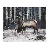 animal print (Print Only) thumbnail
