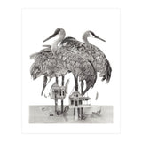 Crane Houses (Print Only) thumbnail
