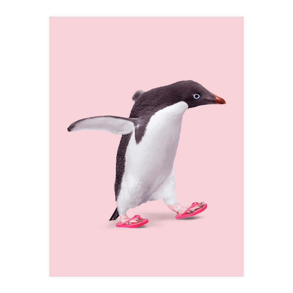 Flip Flop Penguin (Print Only)