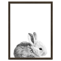 Black and White Bunny Portrait