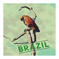 Eagle in Brazil (Print Only)