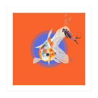 Koi Carp N Diver (Print Only)