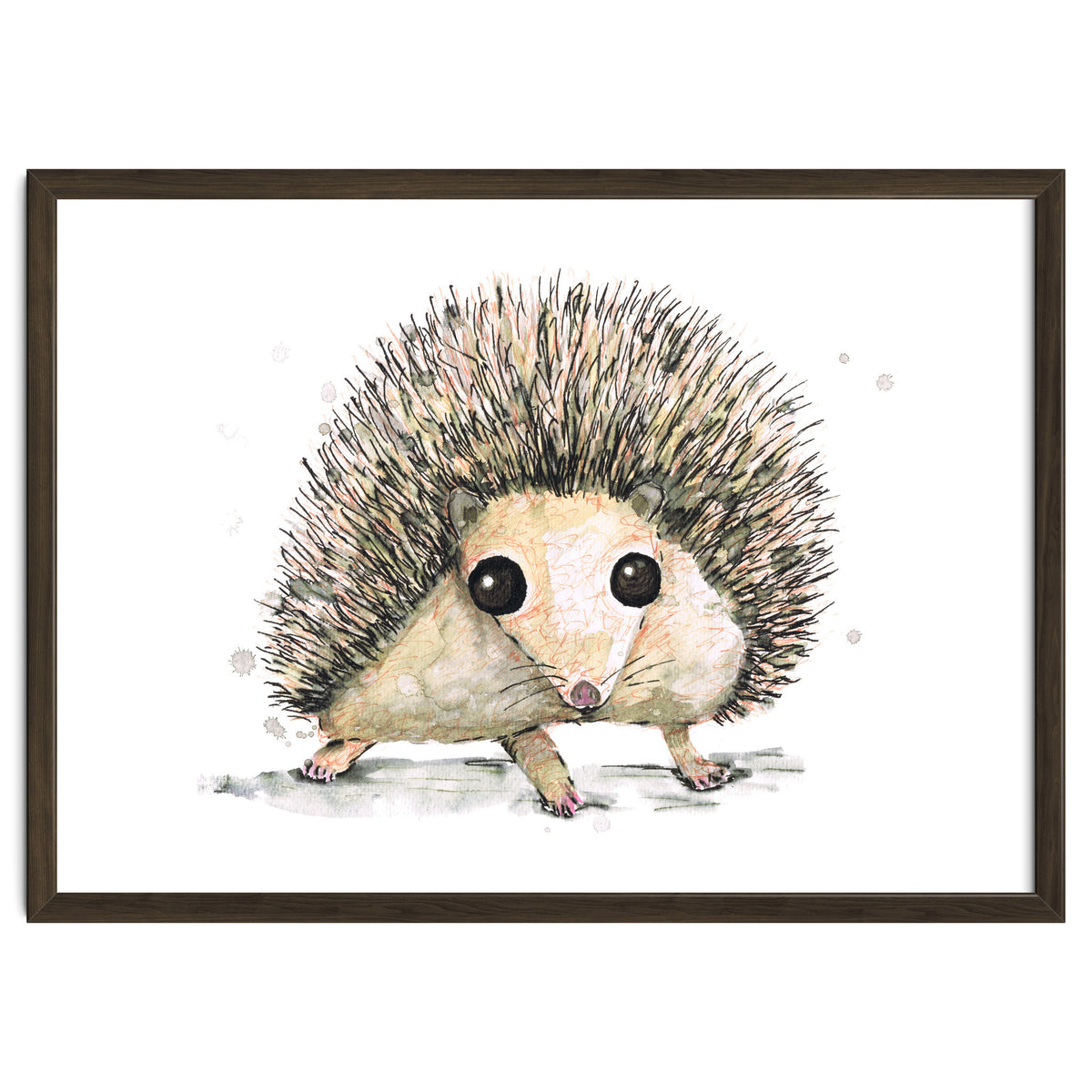 Hedgehog