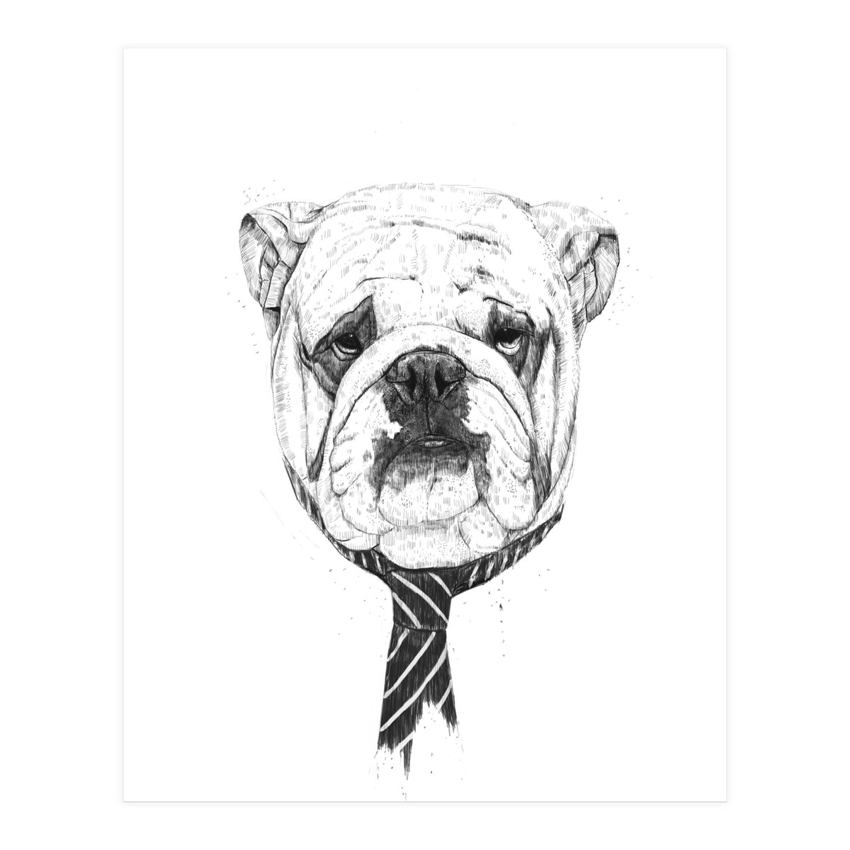 Cooldog (Print Only)