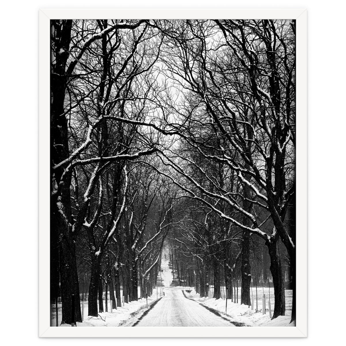 Winterly alley