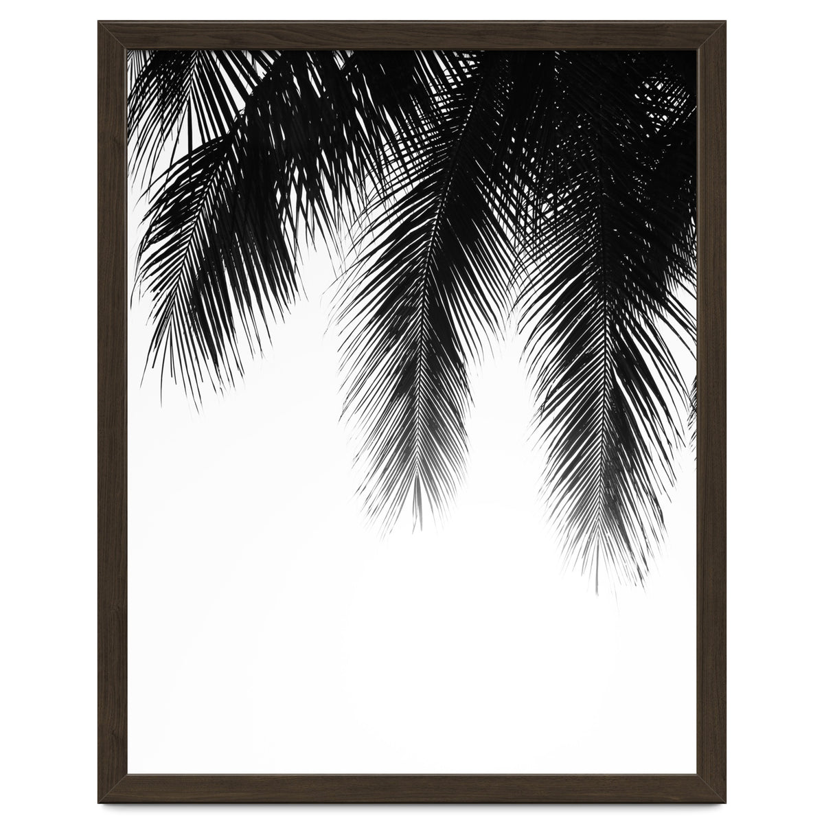 Palm leaves
