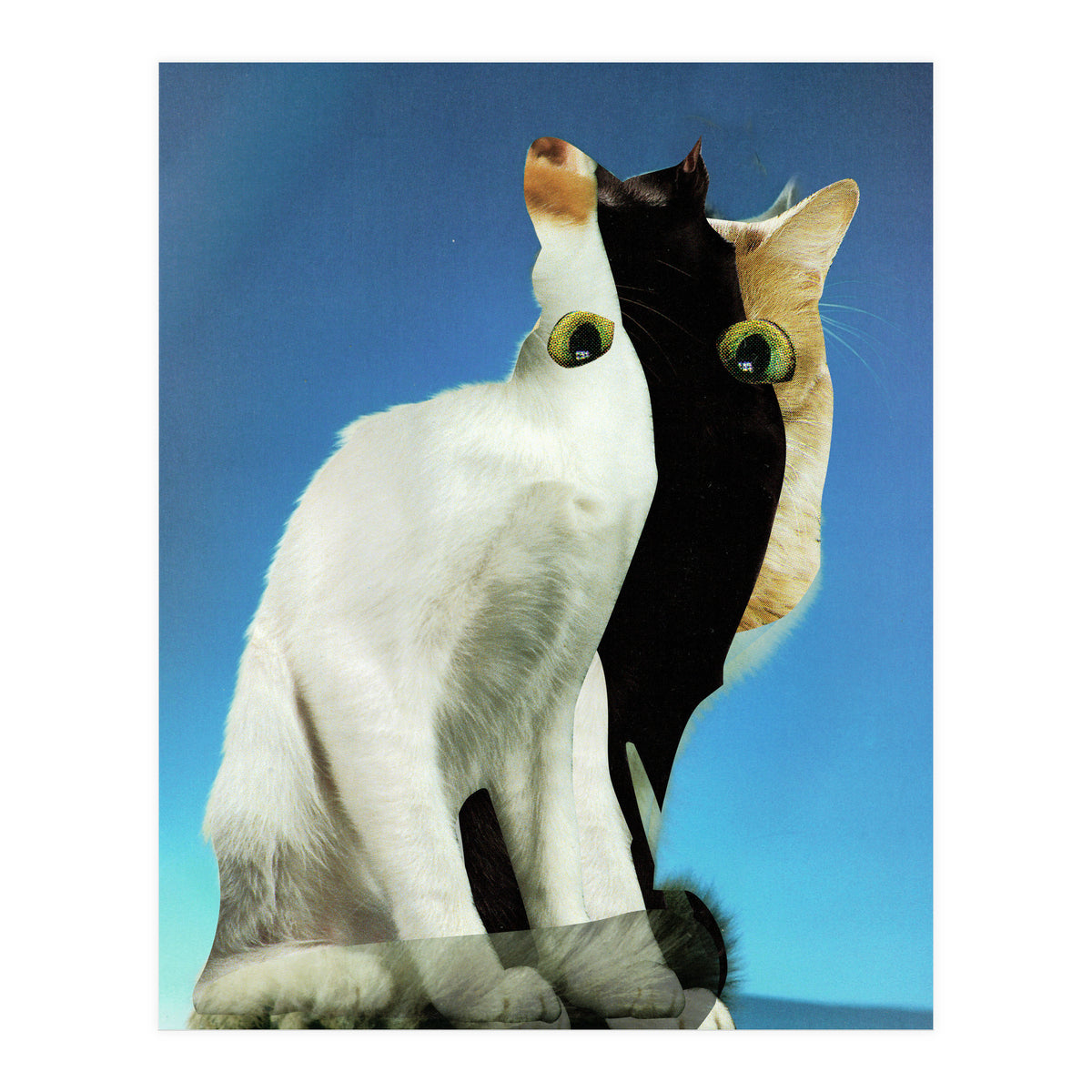 KatzenJammer 13 (Print Only)