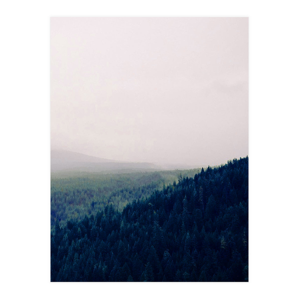 Priceless Treasure (Print Only)