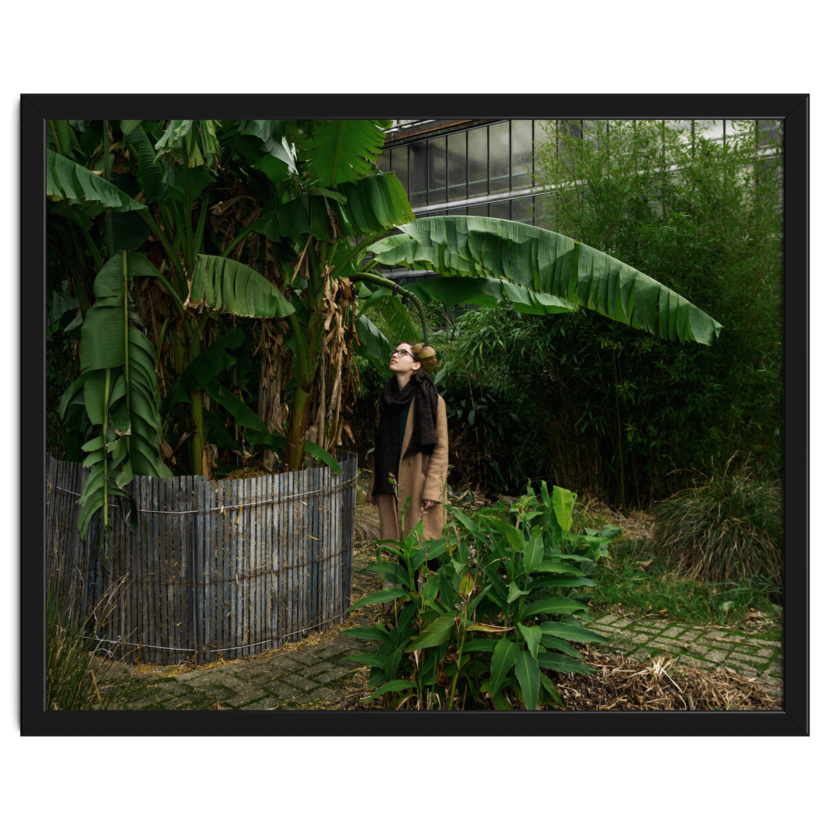 Transition from Summer to Winter