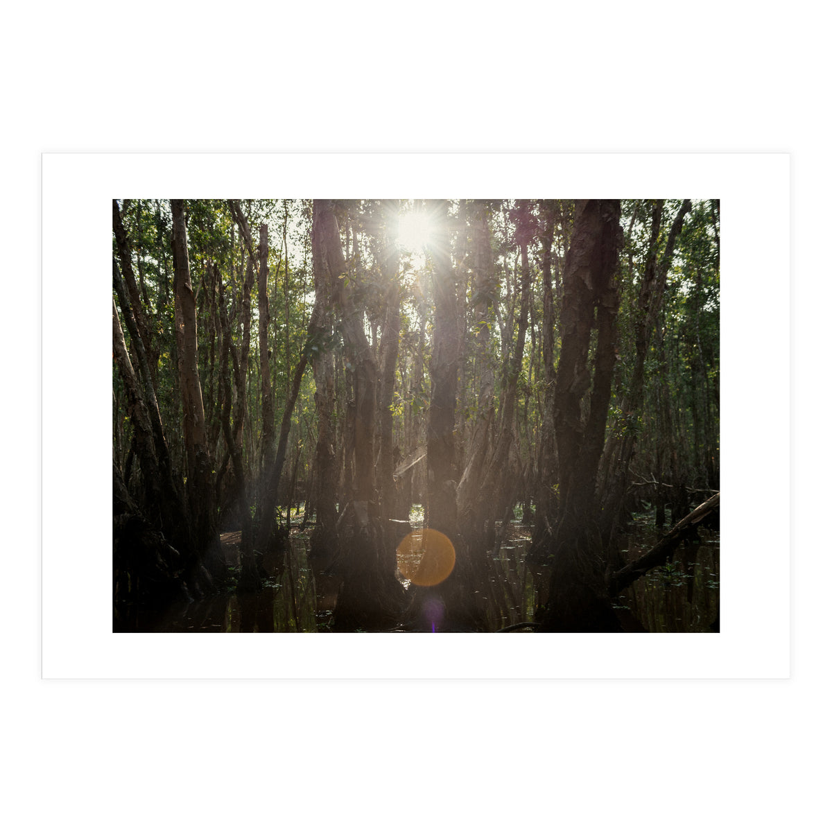 Morning in Vietnam (Print Only)