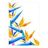 Bird Of Paradise Watercolor (Print Only) thumbnail
