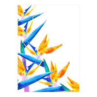 Bird Of Paradise Watercolor (Print Only)