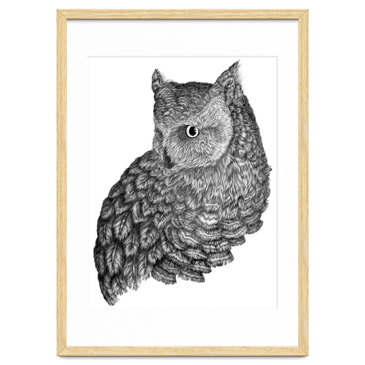 A Friend For Forsythe