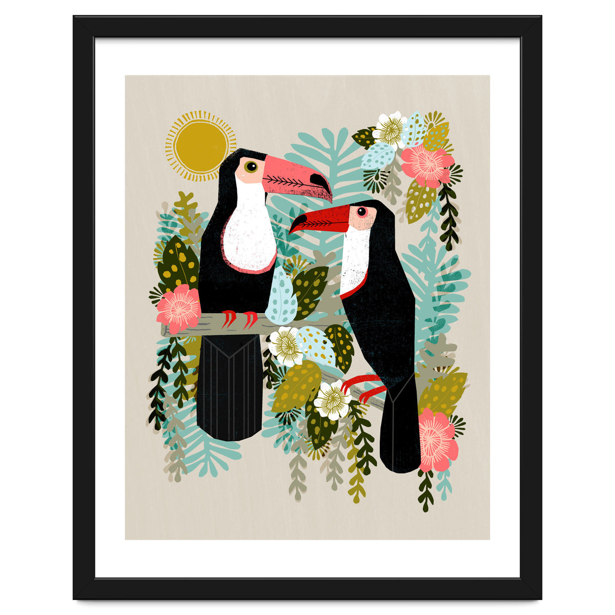 Toucans