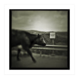 Struan Road (Print Only) thumbnail