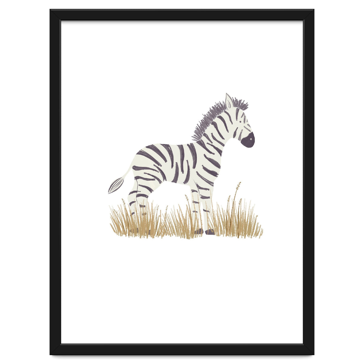 Zebra