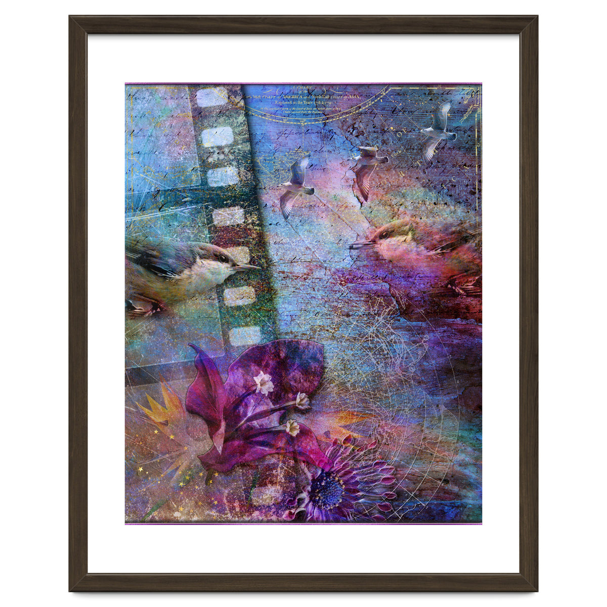 Watching the Wild World