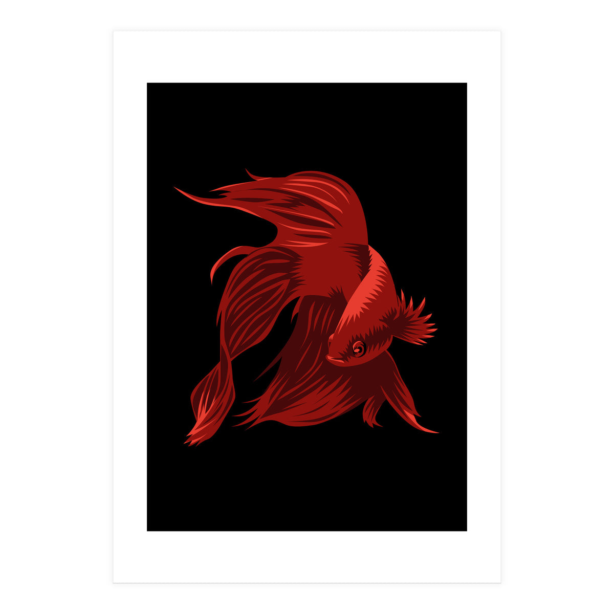 Betta (Print Only)
