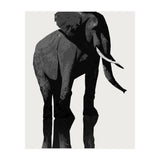 Elephant (Print Only) thumbnail