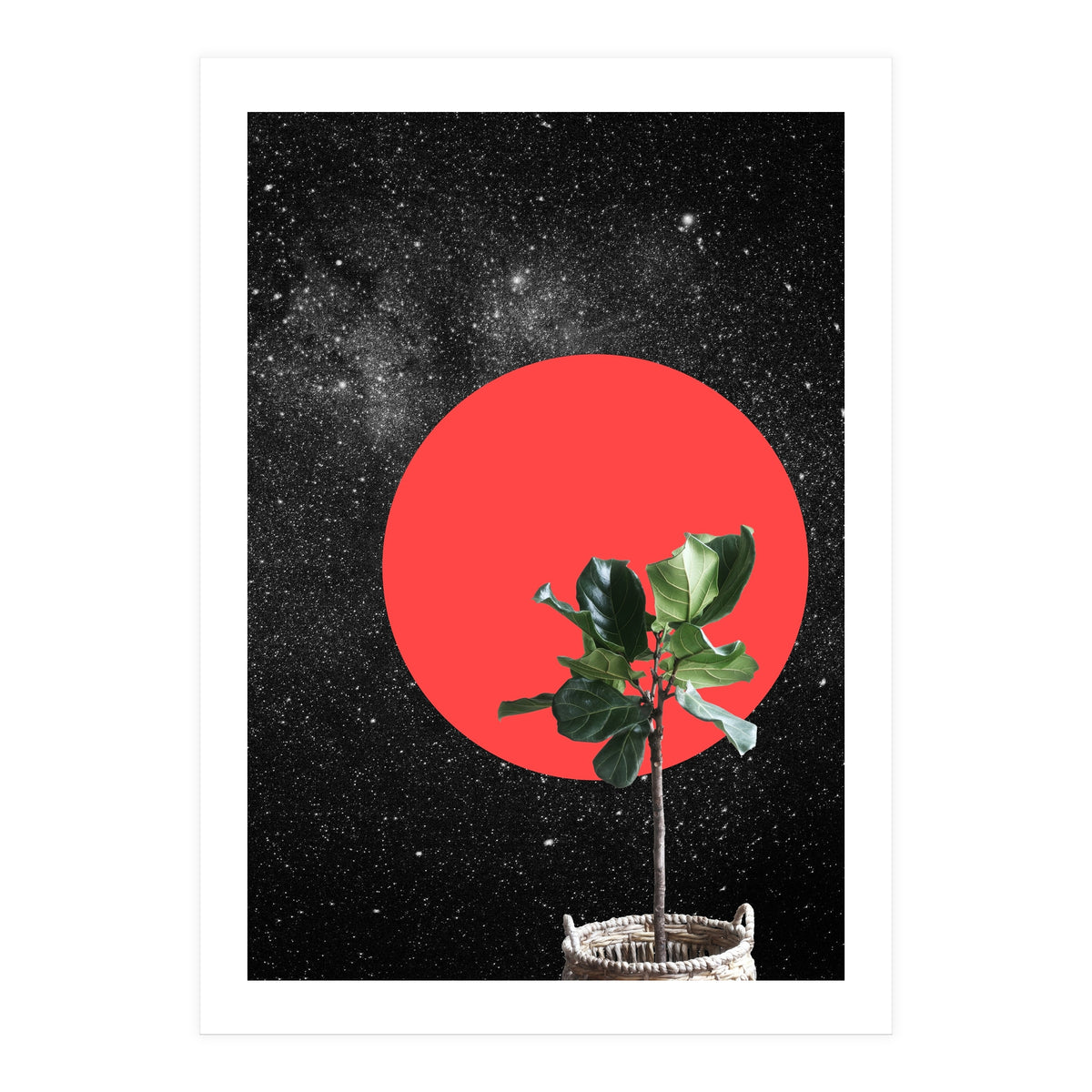 "Bonsai" - Digital Collage (Print Only)