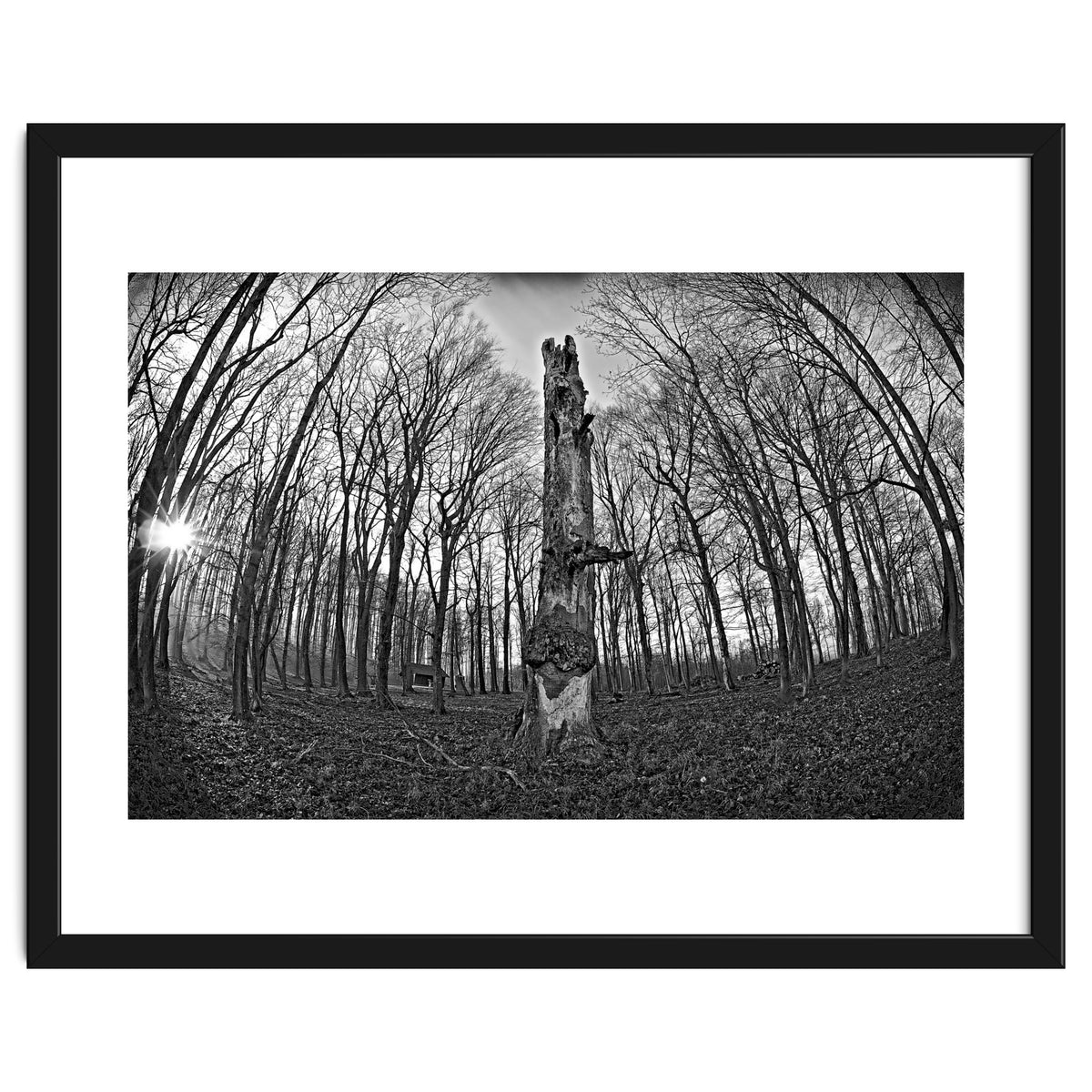 Circle of Growth and decay