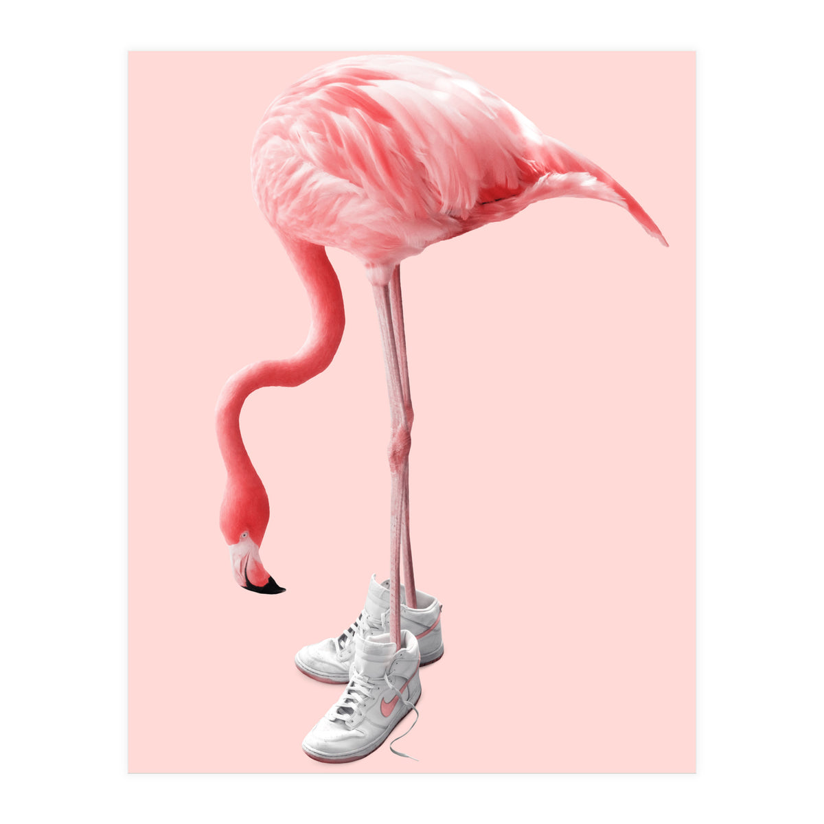 Sneaker Flamingo (Print Only)
