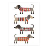 Sausage Dogs In Sweaters (Print Only) thumbnail