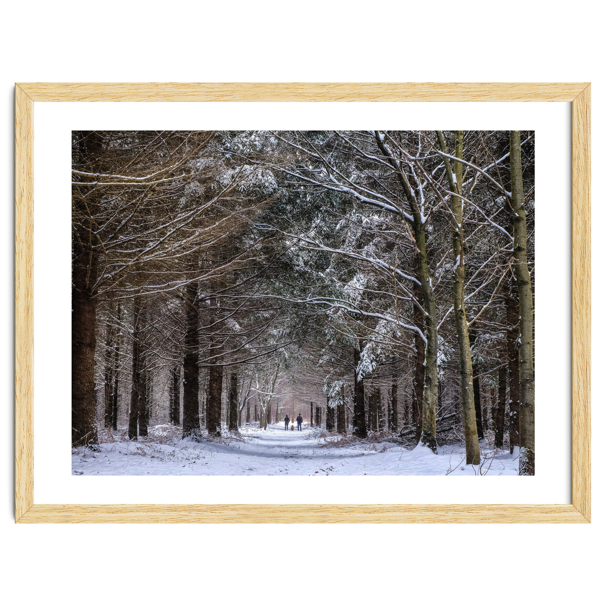 Dog Walkers in the Snow.  Heath Warren - Hampshire