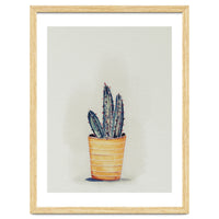 Cactus in yellow pot