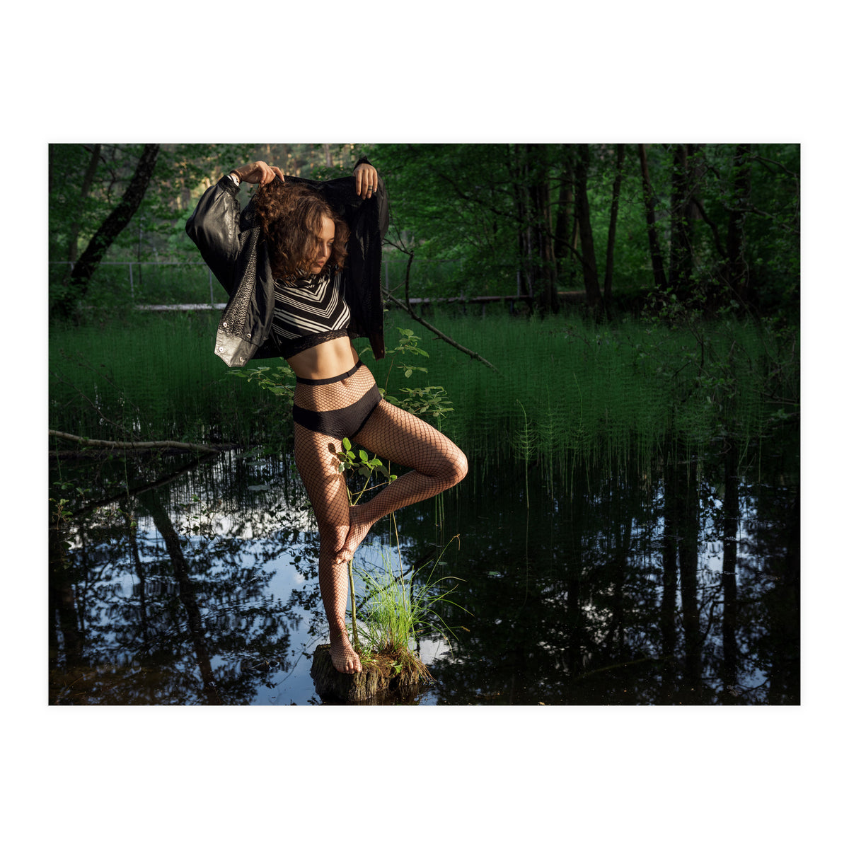 Black Swan (Print Only)