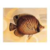 Fish Between Circles 3 (Print Only) thumbnail