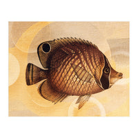 Fish Between Circles 3 (Print Only)