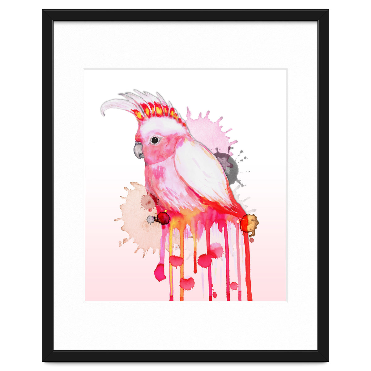 Major Mitchell's cockatoo