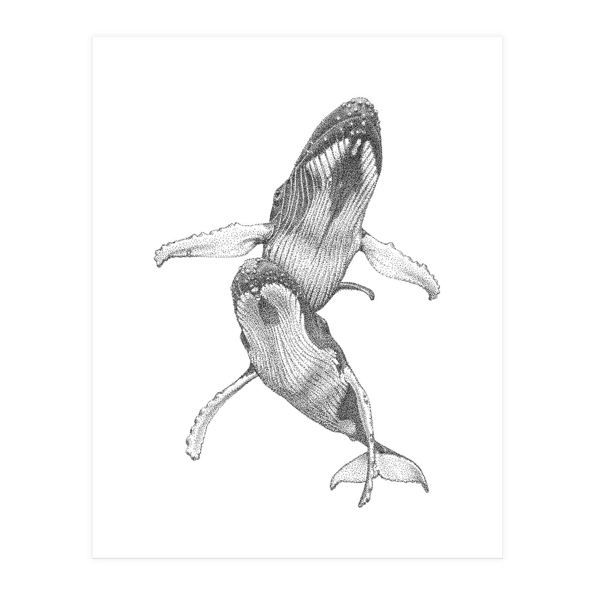 Humpacks no. 1 (Print Only)