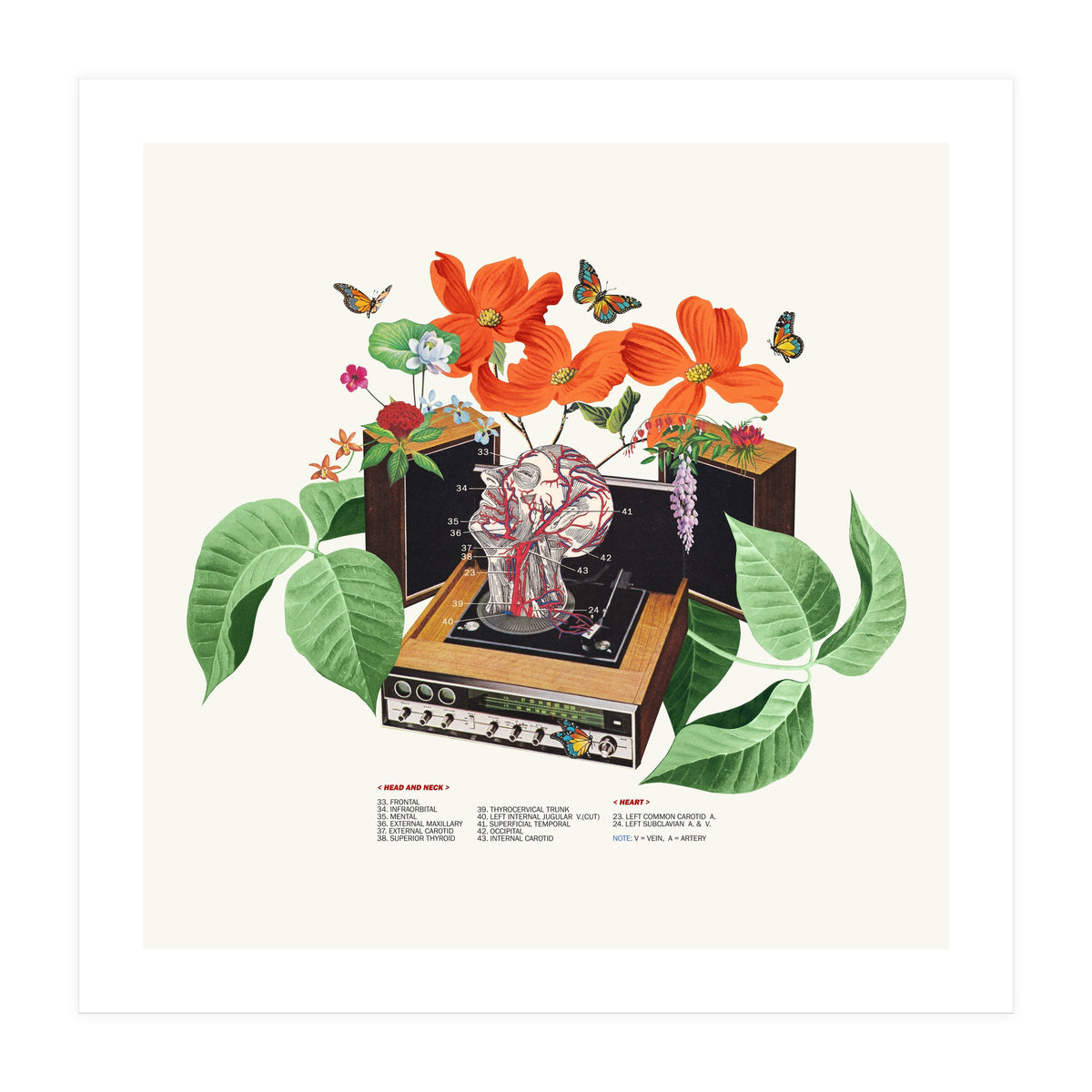 Brainwave (Print Only)