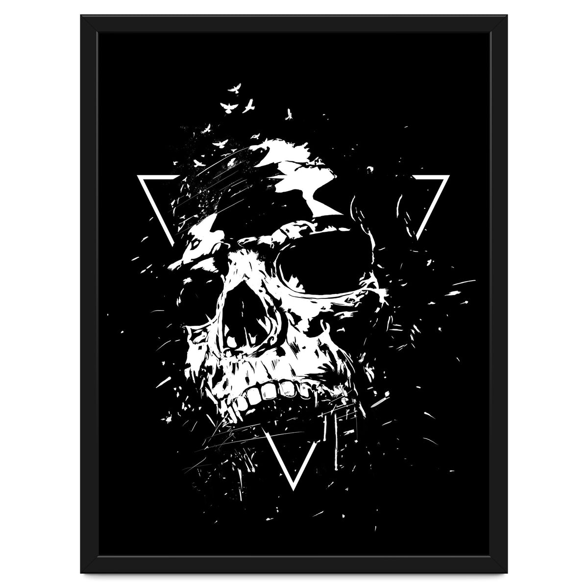 Skull X (Bw)