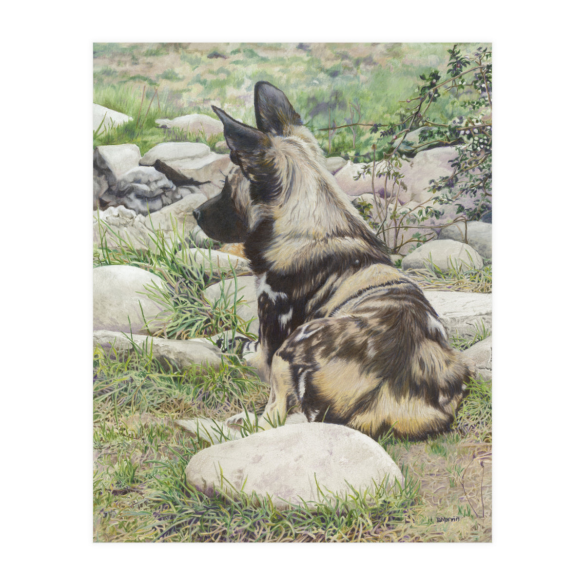 African Painted Dog I (Print Only)