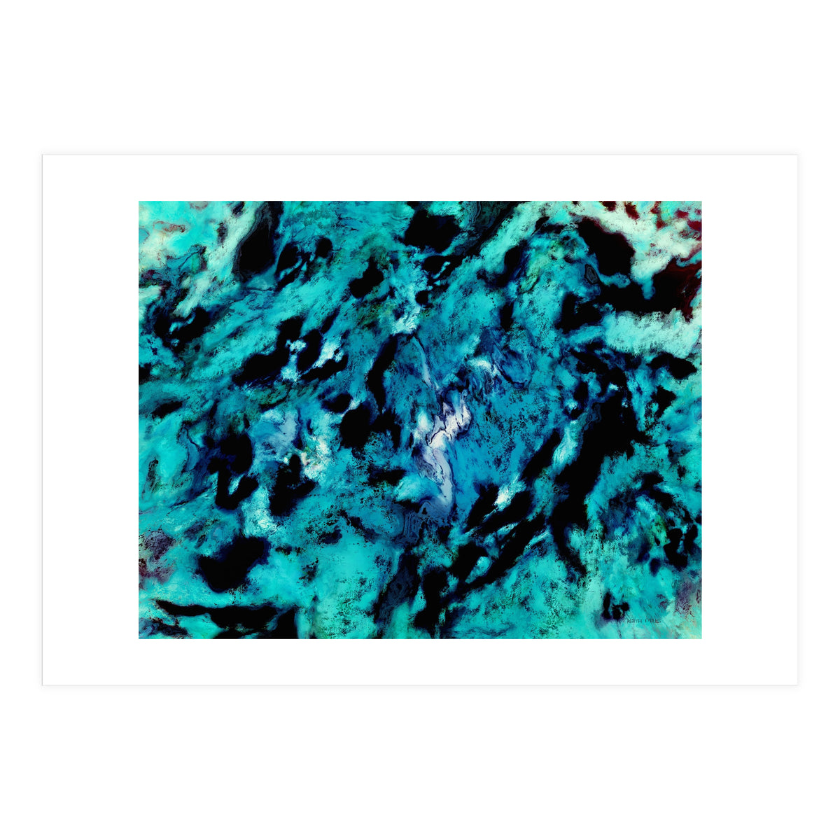 Distinguishing Marks (Print Only)