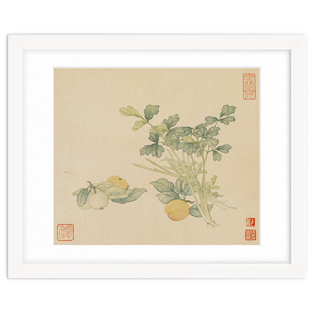 Wang Chengyu~flowers And Vegetables, Vegetables, Fruits, Plums, Apricots, Celery