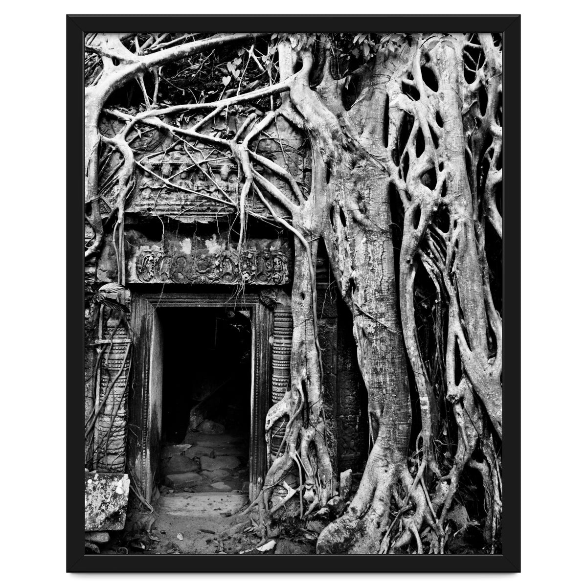 Ta Prohm Temple, Cambodia
