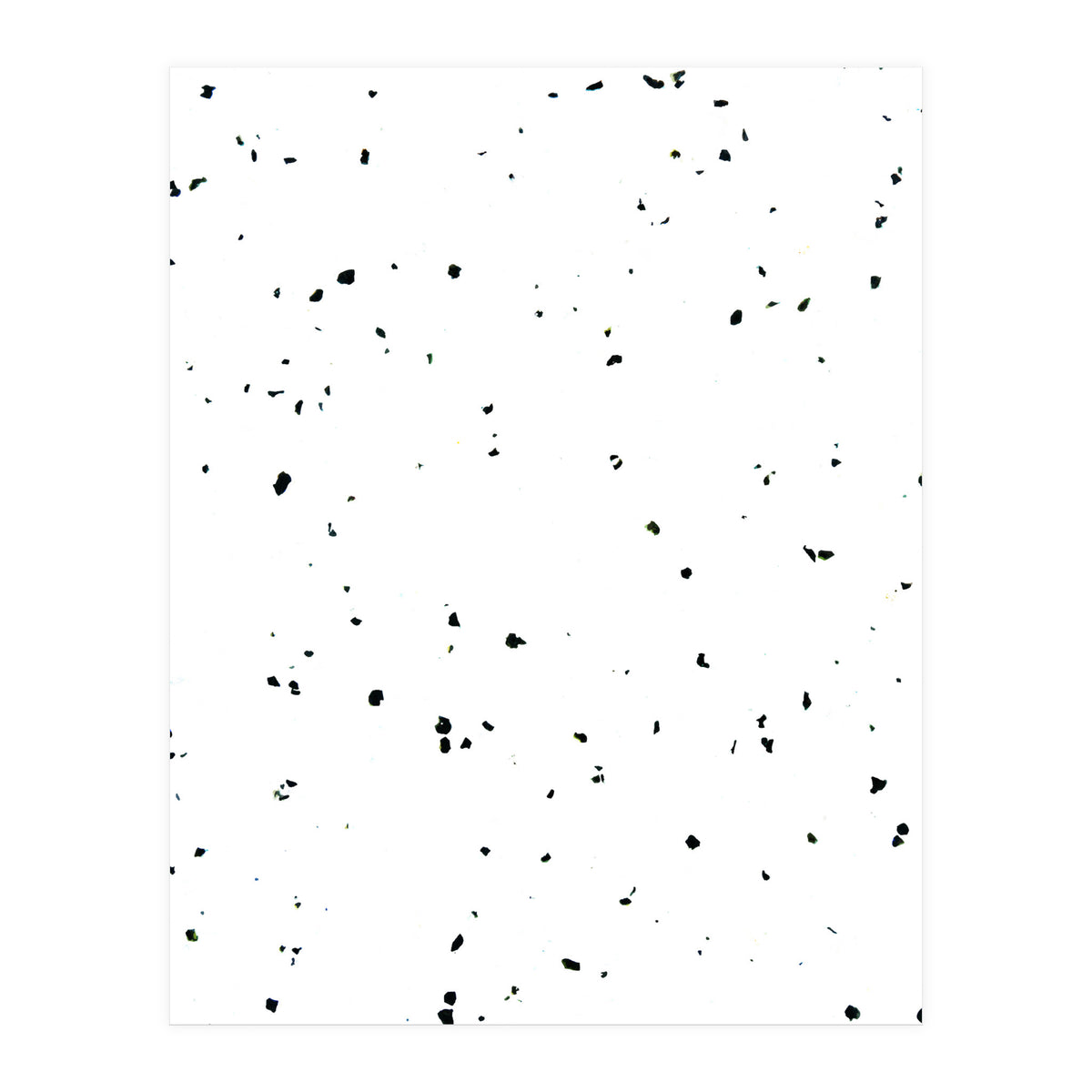 Choco Chip & Vanilla (Print Only)