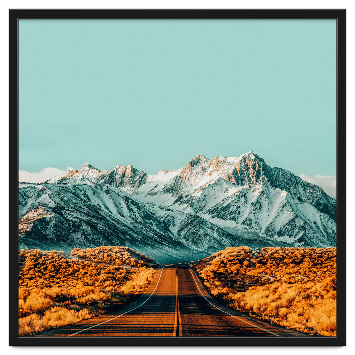 The Road Less Traveled