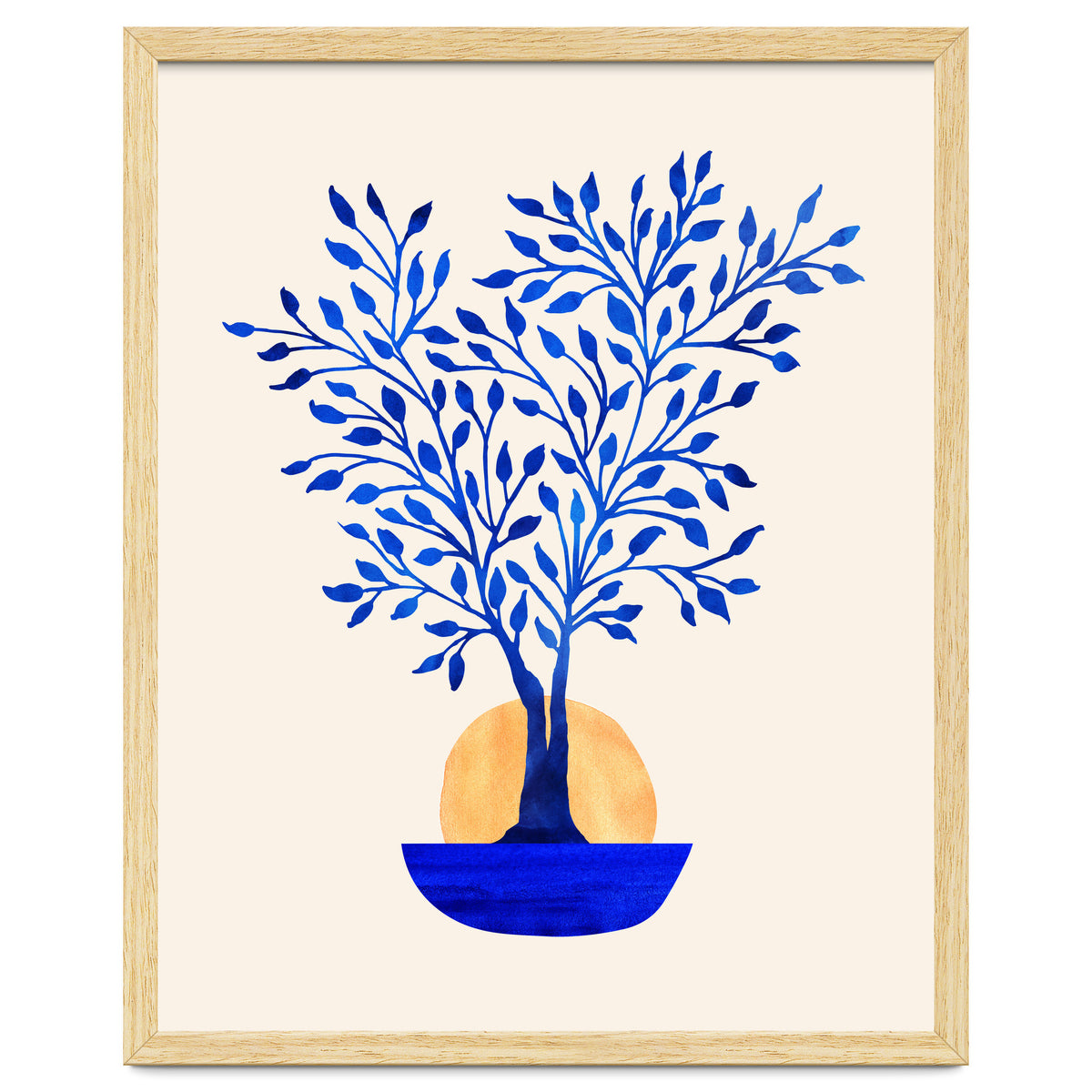 Indigo Ficus Sunrise