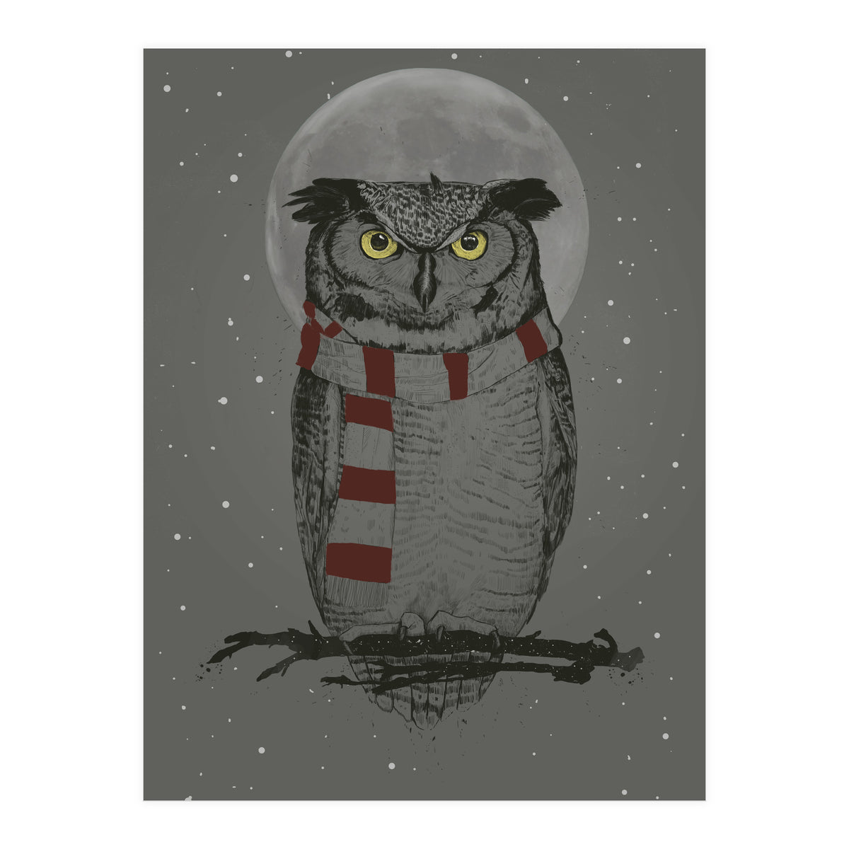 Winter Owl (Print Only)