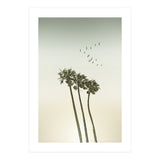 Vintage palm trees at sunset (Print Only) thumbnail
