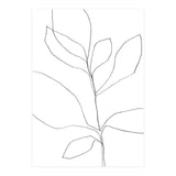 Seven Leaf Plant (Print Only) thumbnail