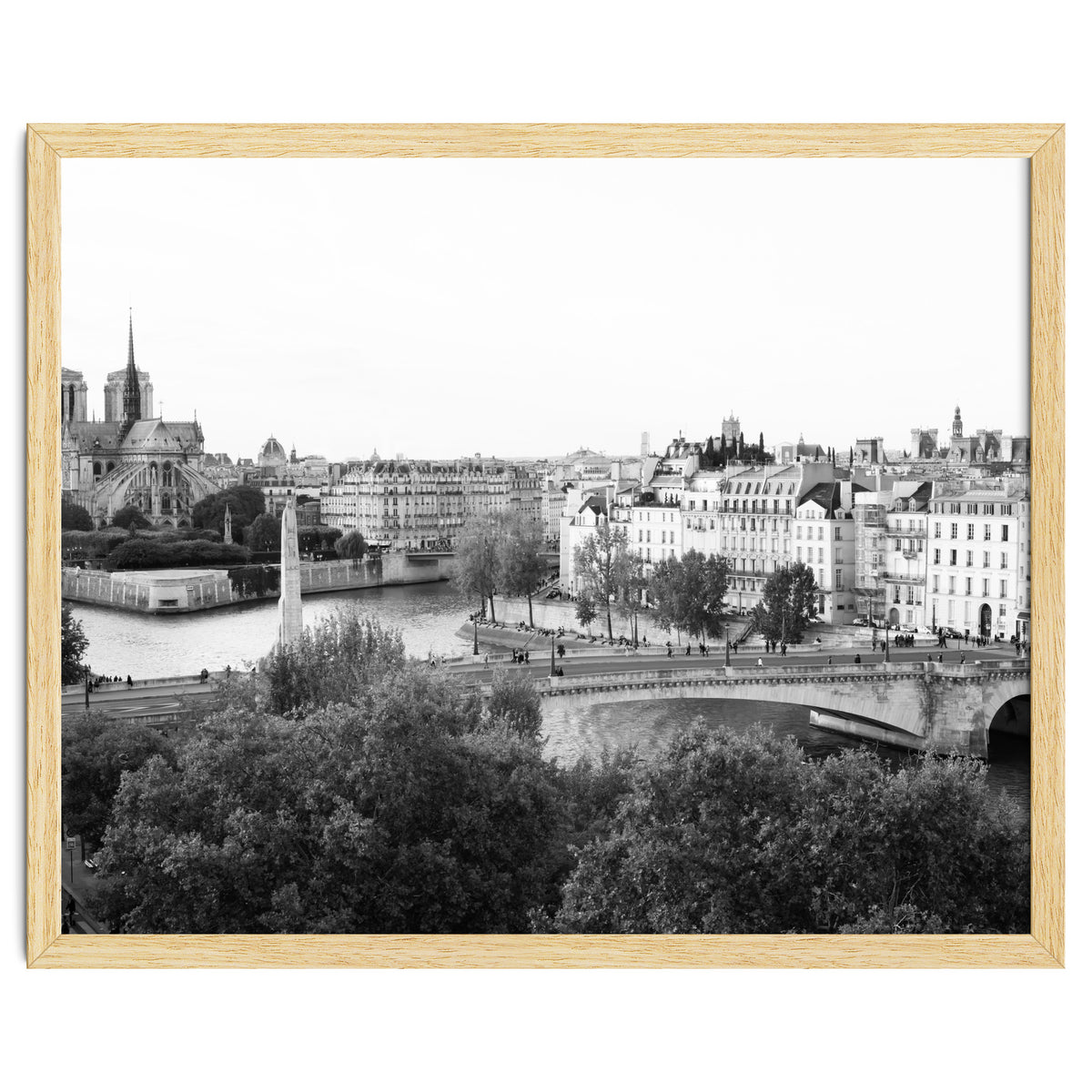 Paris View in Black and White