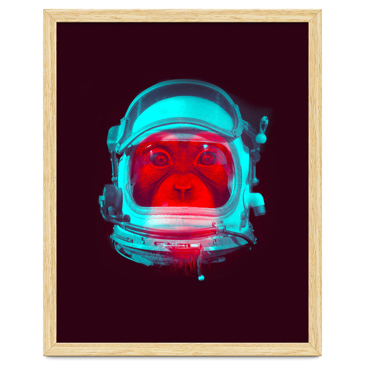 Astronaut
