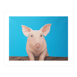 Pig (Print Only) thumbnail