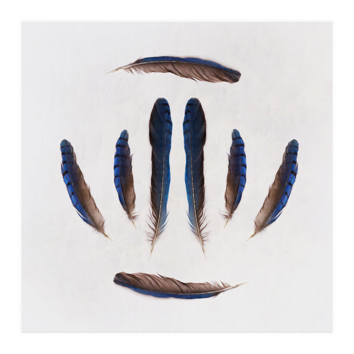 Forgive Me For Forgetting (Print Only)